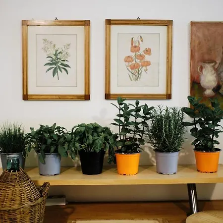 Casa Lume Bauernhof Toscolano-Maderno